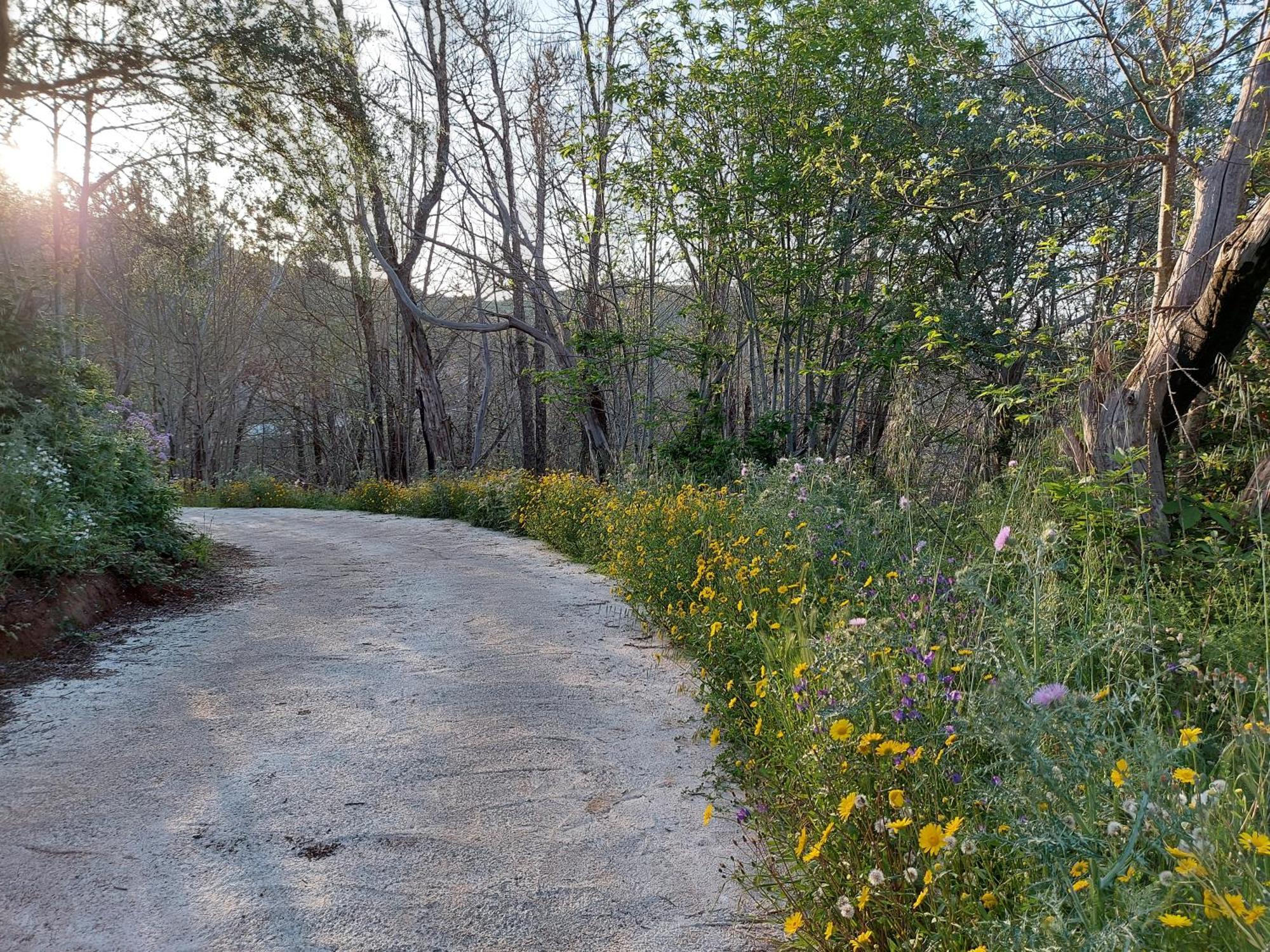 Finca Naturacanaria Мойя Экстерьер фото