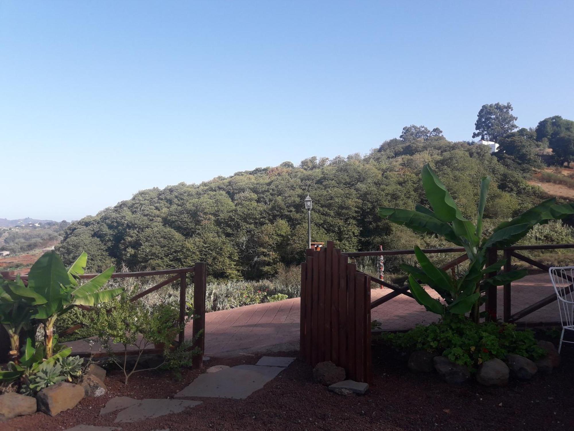 Finca Naturacanaria Мойя Экстерьер фото