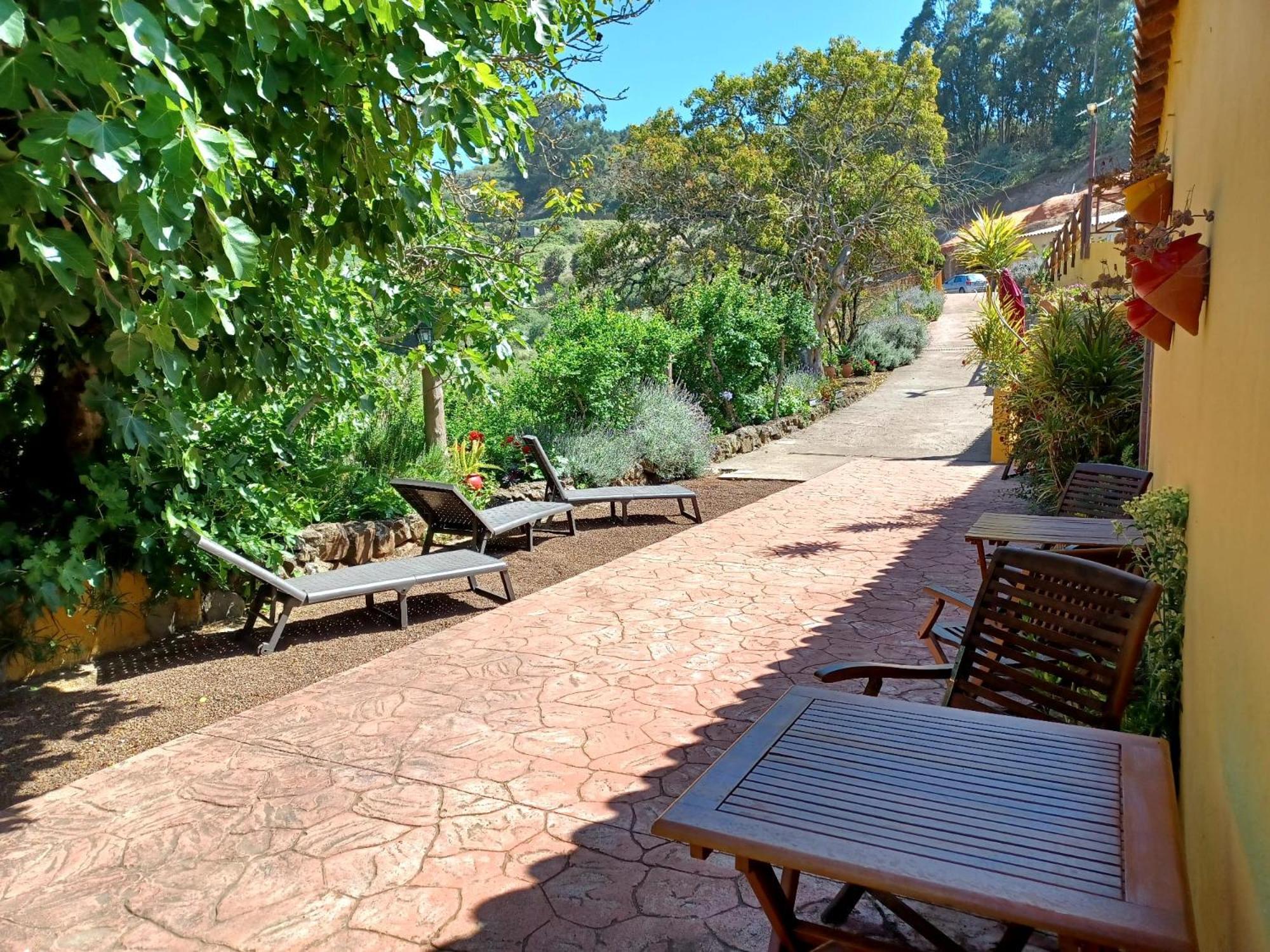 Finca Naturacanaria Мойя Экстерьер фото