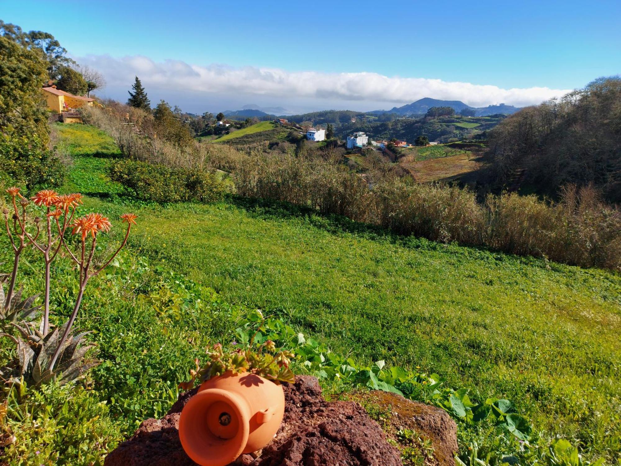 Finca Naturacanaria Мойя Экстерьер фото