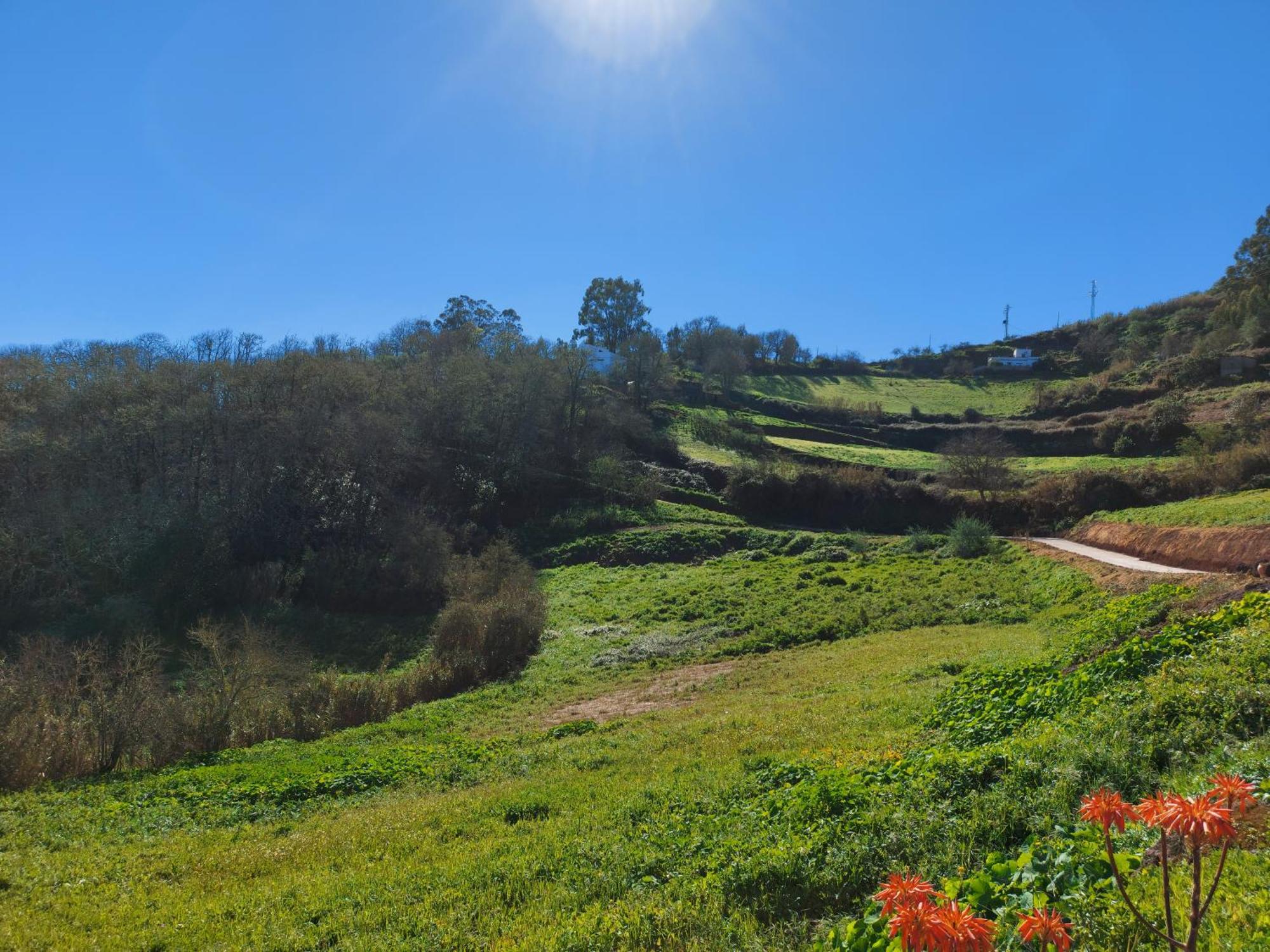 Finca Naturacanaria Мойя Экстерьер фото