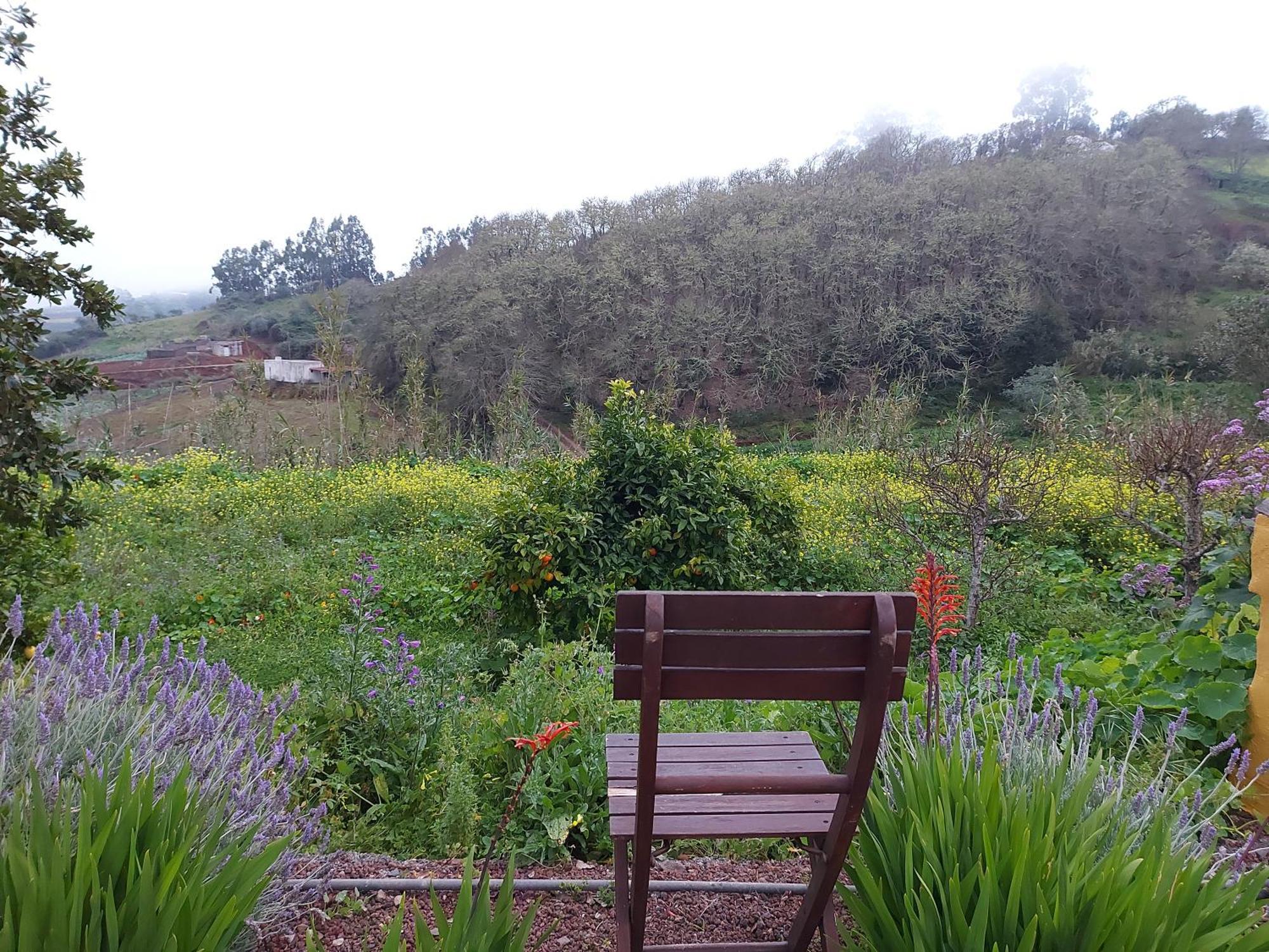 Finca Naturacanaria Мойя Экстерьер фото