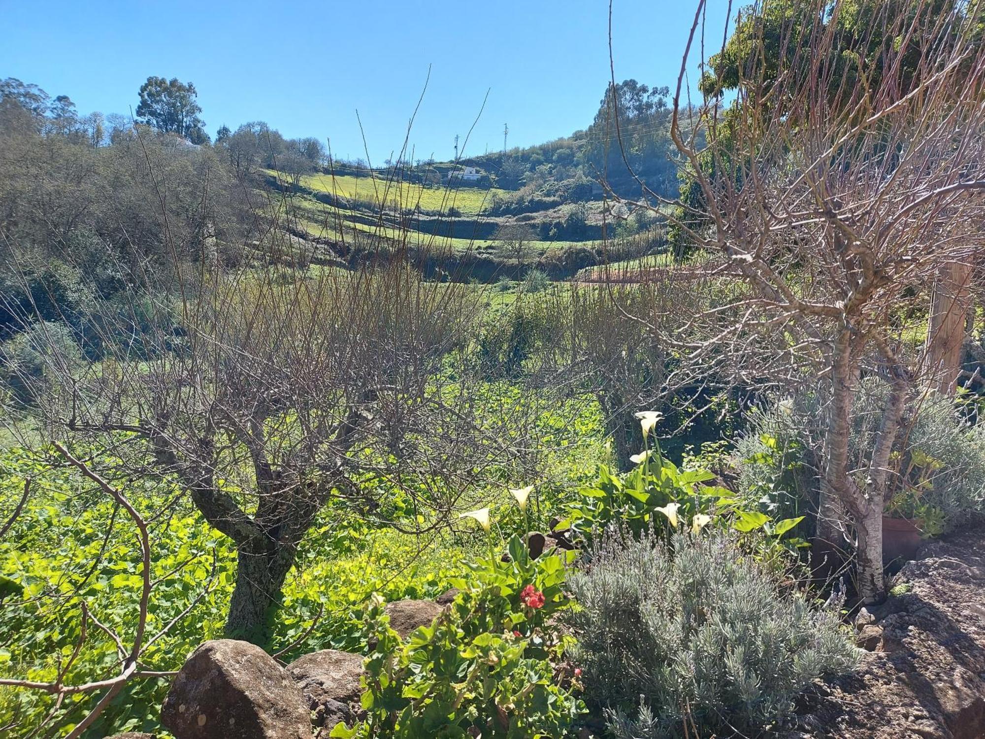 Finca Naturacanaria Мойя Экстерьер фото